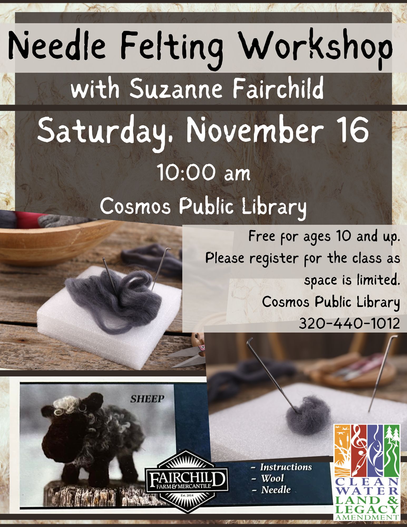 Cosmos Public Library Needle Felting Class